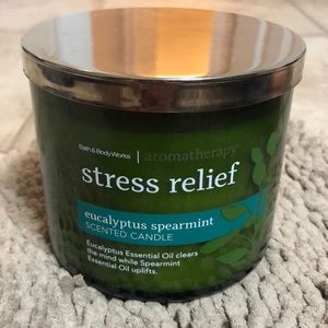Large Stress Relief Eucalyptus Spearmint Candle!